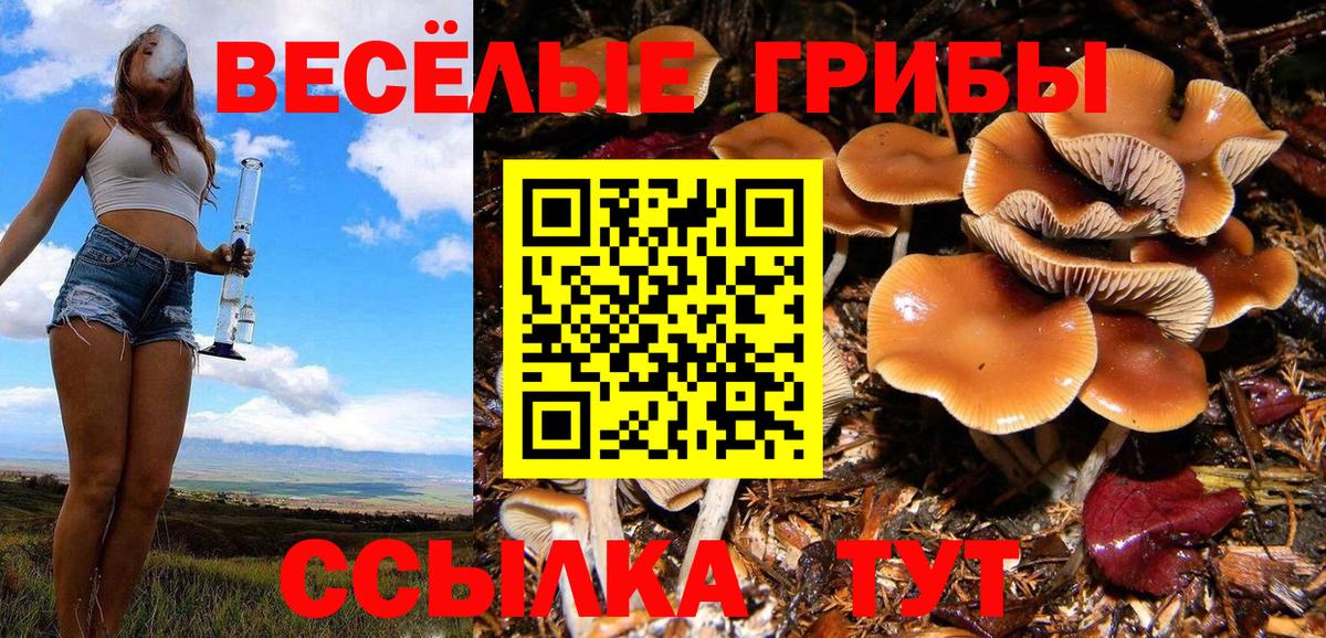 Псилоцибиновые грибы ЛСД  Вход с VPN  наркошоп  Псков 